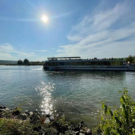 Chalet An Der Donau Direkt Bei Regensburg, 5 Sterne Dtv Pentling 외부 사진